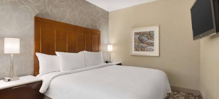 圣安东尼奥国际机场希尔顿安泊酒店(Embassy Suites by Hilton San Antonio Airport)图片