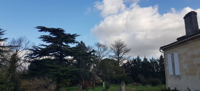 夏韦特庄园(Domaine du Chauvet)图片