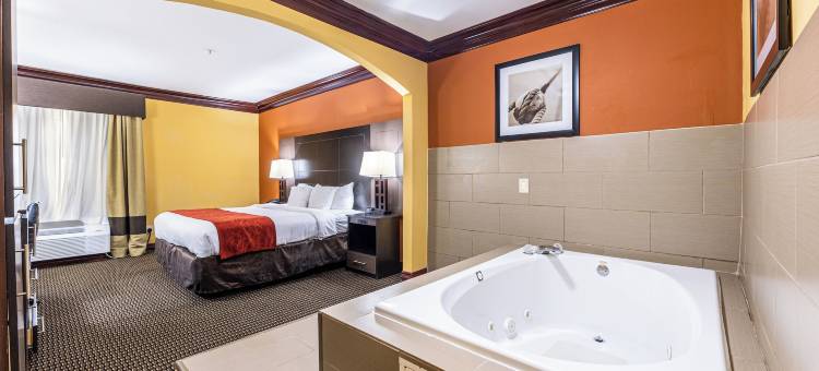 克鲁特杰克森湖舒适全套房酒店(Comfort Suites Lake Jackson Clute)图片