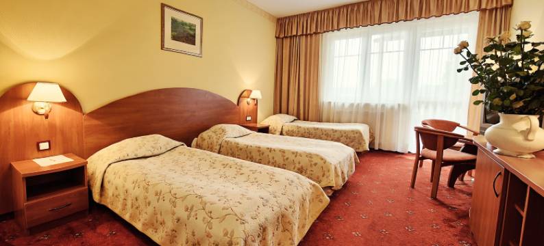 安德斯酒店(Hotel Anders)图片