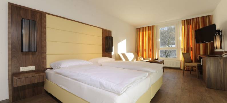 因斯布鲁克卡佩勒酒店(Hotel Kapeller Innsbruck)图片