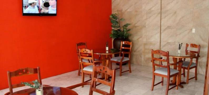 特瓦坎广场酒店(Hotel Tehuacan Plaza)图片