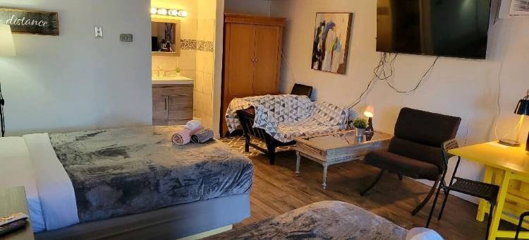 萨塞克斯汽车旅馆(Sussex Motel)图片