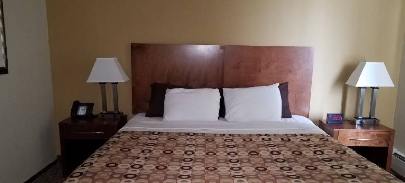 罗切斯特红地毯酒店(Red Carpet Inn Rochester)图片