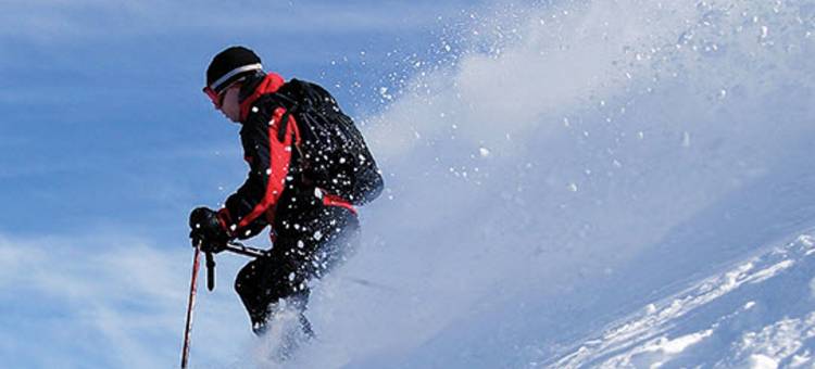 班卓帕特森旅馆(Banjo Paterson Inn)图片