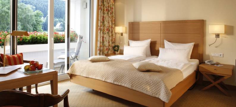 戴曼酒店(Hotel Deimann)图片