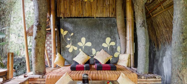 萤火虫生态旅馆(Firefly eco-Lodge)图片