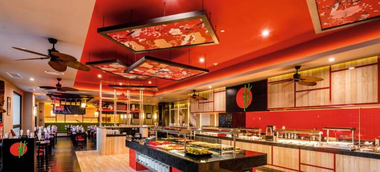 巴亚尔塔悦宜湾酒店-全包(Riu Vallarta - All Inclusive)图片