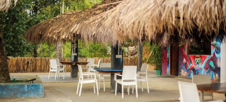 埃勒森林浴(Ella Forest Bath)图片