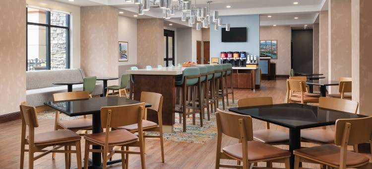 查塔努加西/望山欢朋酒店(Hampton Inn Chattanooga-Lookout Mountain)图片