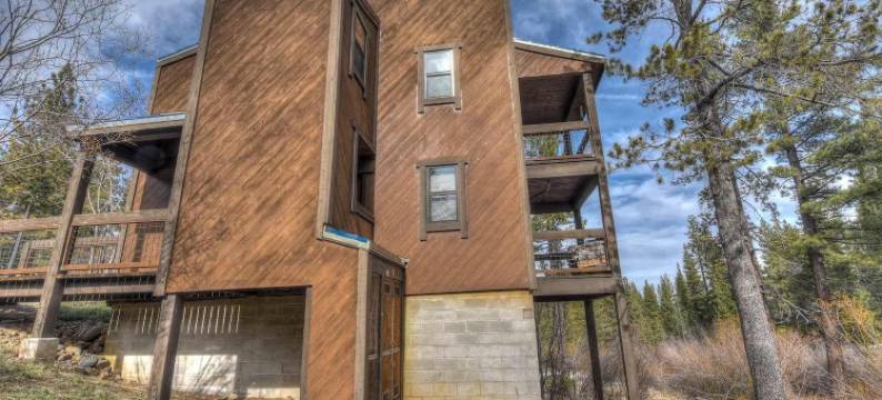 银树庇护所，在白杨树林中(Silver Tree Sanctuary in Aspen Grove!)图片