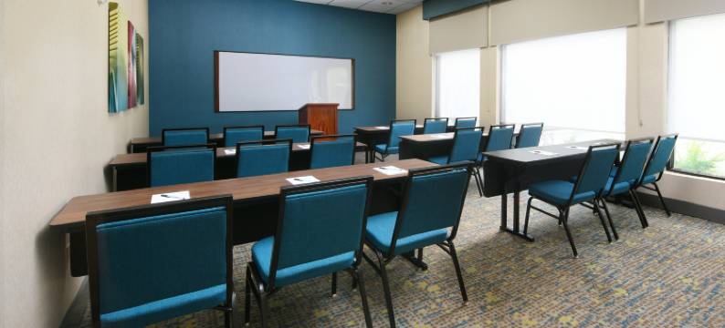 希尔顿欢朋套房酒店-休斯顿医学中心/雷莱恩公园(Hampton Inn & Suites Houston Medical Center NRG)图片