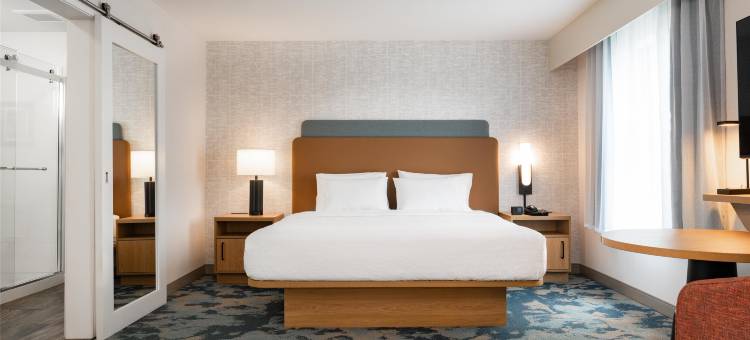 拉克罗斯市中心欢朋套房酒店(Hampton Inn & Suites la Crosse/Downtown, WI)图片