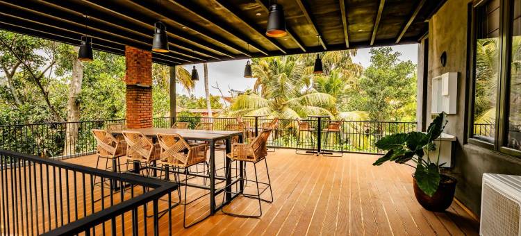 波希米亚巢穴(Bohemian Nest)图片