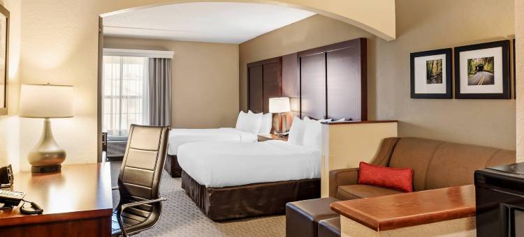 舒适套房酒店-近宾夕法尼亚州立大学(Comfort Suites Near Penn State - State College, PA)图片