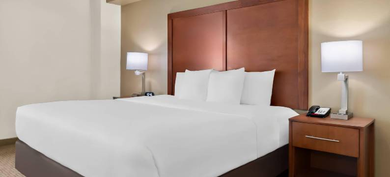 舒适套房酒店(Comfort Inn & Suites)图片