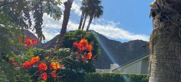 Indian Wells Lux Bungalow Desert Views, Golf, Tennis & Coachella and Stagecoach图片