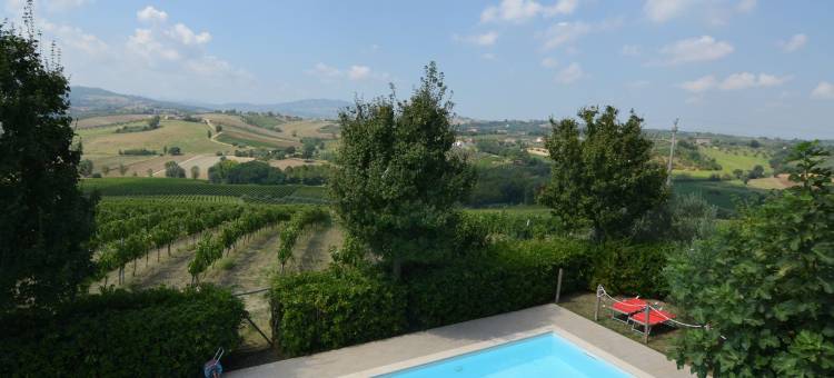 Apartment in Coriano near Vineyards & Beaches图片