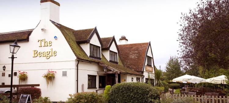 伊普斯威奇普瑞米尔酒店(香缇公园)(Premier Inn Ipswich (Chantry Park))图片