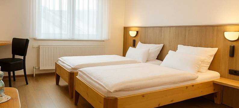 欧特维恩酒店(Hotel Orthwein -Kostenfreie Parkplätze-)图片