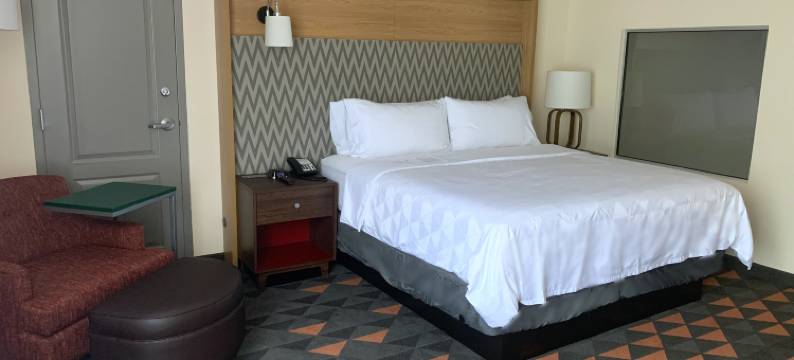 Holiday Inn 阿什维尔 - 比尔特莫尔西(Holiday Inn ASHEVILLE - BILTMORE WEST by IHG)图片