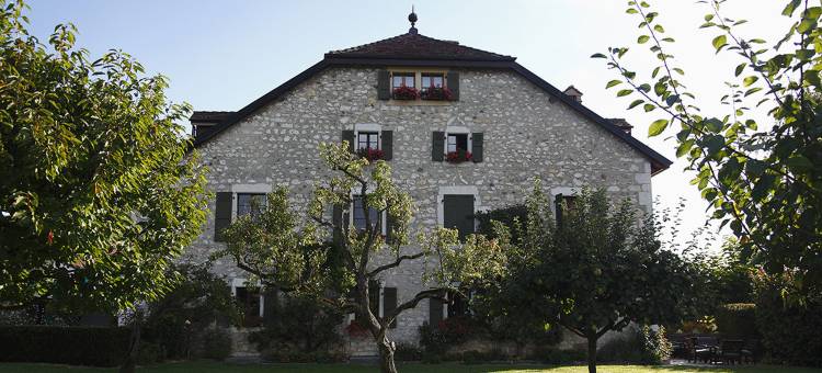 沙特维耶庄园(Domaine de Châteauvieux)图片