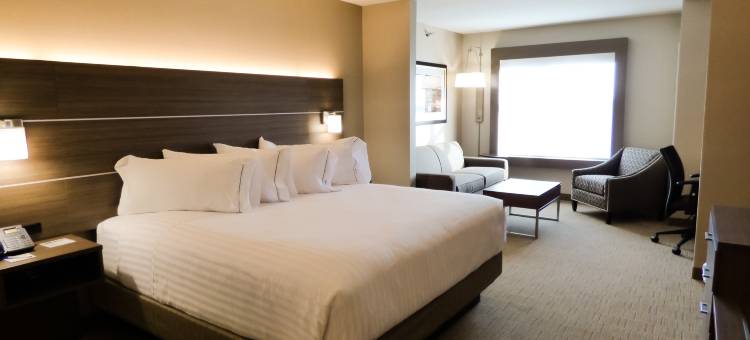 普利茅斯安娜堡区智选假日套房酒店(Holiday Inn Express & Suites Plymouth - Ann Arbor Area)图片