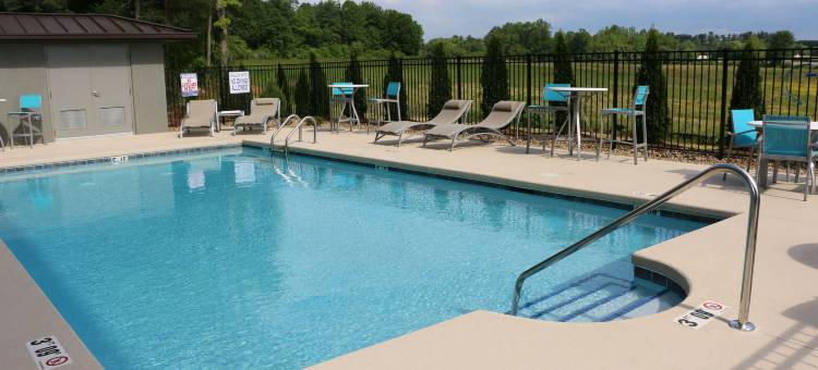 Holiday Inn Express & Suites Hendersonville SE - Flat Rock图片