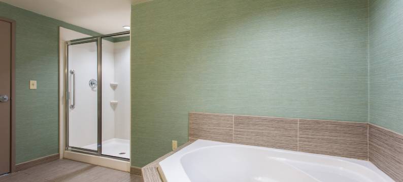 Holiday Inn 特克萨卡纳 - 会议中心(Holiday Inn TEXARKANA ARKANSAS CONV CTR by IHG)图片