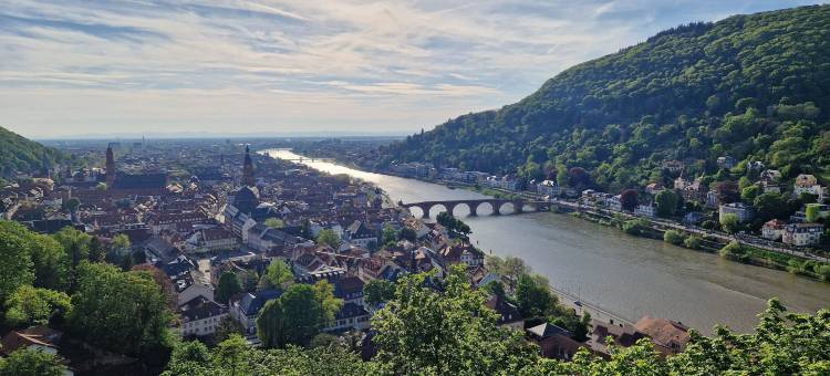 海德堡城市伙伴酒店(City Partner Hotel Holländer Hof)图片