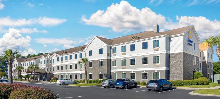 舒适酒店及套房(Comfort Inn & Suites)图片