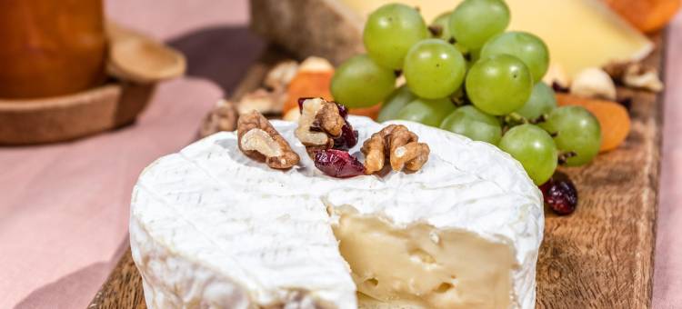 宜必思拉布雷斯热拉尔德梅酒店(Ibis la Bresse Gérardmer)图片