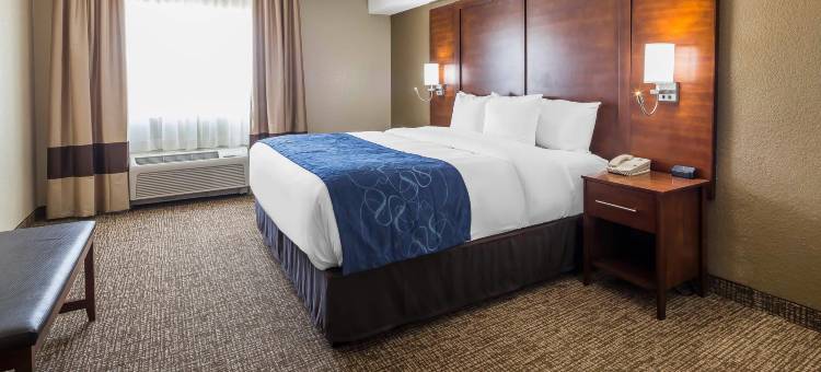 舒适套房酒店-埃尔帕索机场(Comfort Suites El Paso Airport)图片