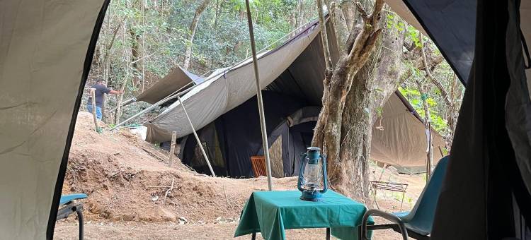 野生天堂营地(Wild Paradise Camp Belihuloya)图片