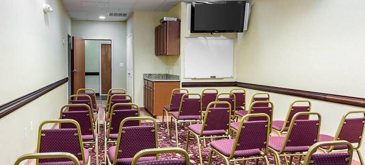 切萨皮克朴茨茅斯舒适套房酒店(Comfort Inn & Suites Chesapeake - Portsmouth)图片