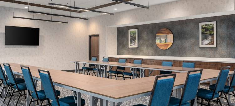 皮茨伯勒希尔顿欢朋套房酒店(Hampton Inn & Suites by Hilton Pittsboro)图片