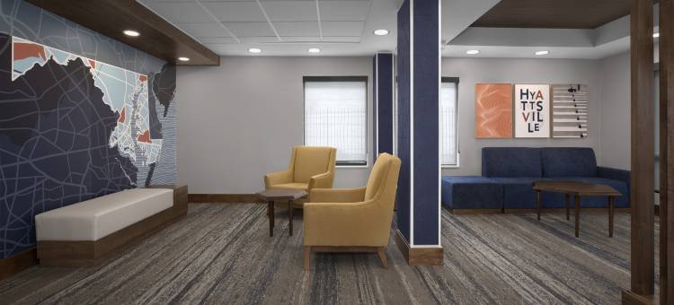 华盛顿BW花园道智选假日酒店(Holiday Inn Express Washington DC - BW Parkway)图片