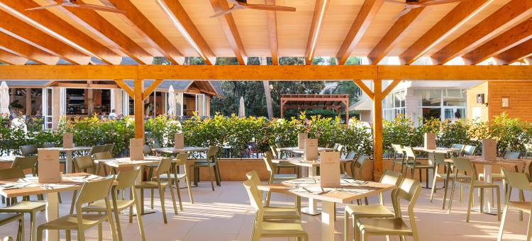 坎皮卡福特皇宫公寓酒店(Aparthotel Can Picafort Palace)图片