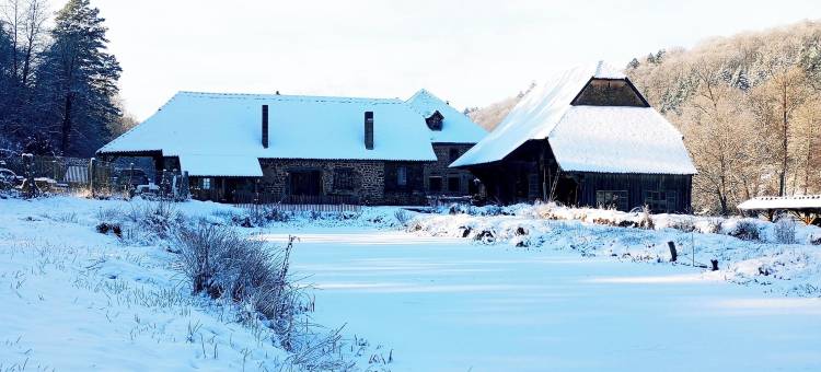 Maison d'hôtes de Charme - Ancien Moulin en Pleine Nature - la Paulusmühle图片