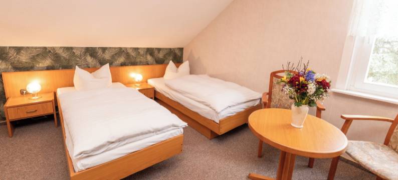 瓦尔特斯豪森瓦尔德豪斯酒店(Hotel Waldhaus Waltershausen)图片