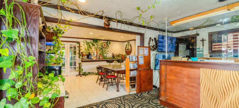 OYO Snyder TX 紫色鼠尾草(Purple Sage by OYO Snyder TX)图片