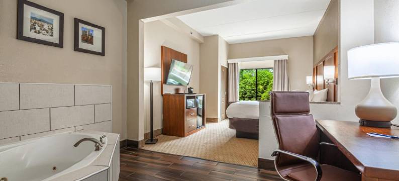 亚特兰大南部莫罗舒适套房酒店(Comfort Suites Morrow- Atlanta South)图片