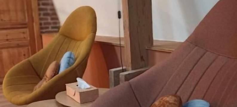 拉库尔农场(La Ferme de la Cour)图片