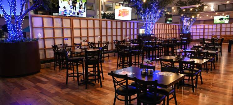 DFW机场中庭套房酒店(Atrium Hotel and Suites DFW Airport)图片