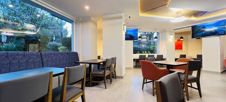 康德萨罗斯福酒店(Hotel Roosevelt Condesa)图片