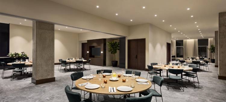 蒙特利尔凯悦尚萃酒店(Hyatt Centric Montreal)图片