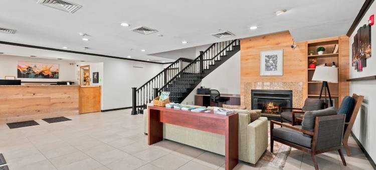 罗切斯特威洛套房酒店(Willow Inn Suites Rochester)图片