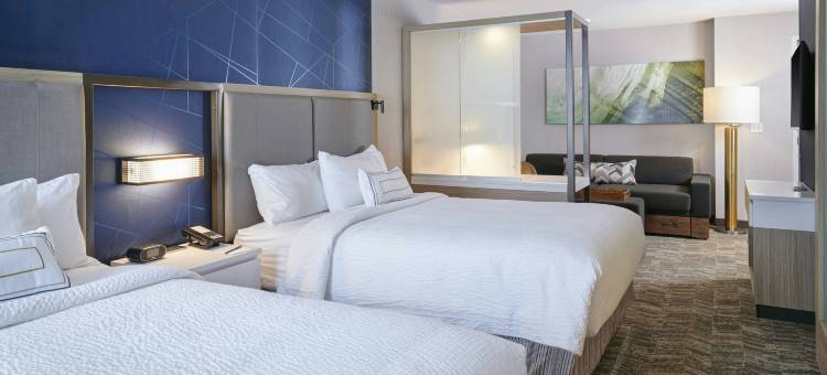 底特律威克森万豪SpringHill Suites酒店(SpringHill Suites by Marriott Wixom Novi)图片