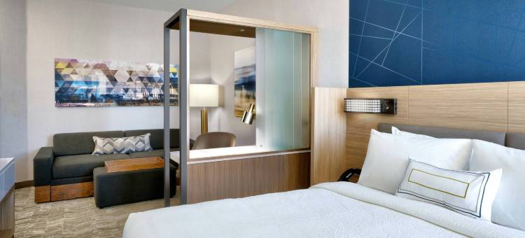 盐湖城西谷万豪SpringHill Suites酒店(SpringHill Suites Salt Lake City West Valley)图片