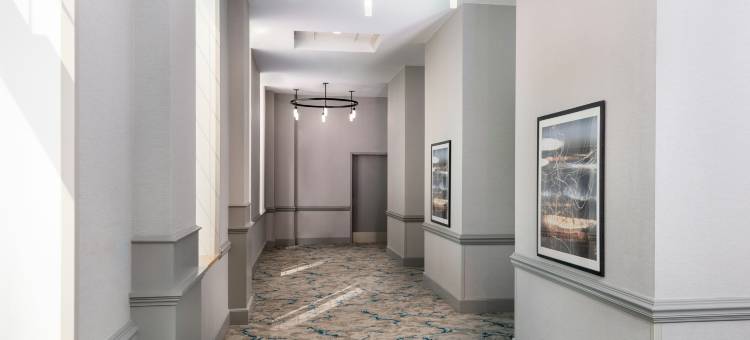 夏洛特希尔顿花园酒店(Hilton Garden Inn Charlotte-Uptown)图片